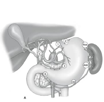 Fig. 2a