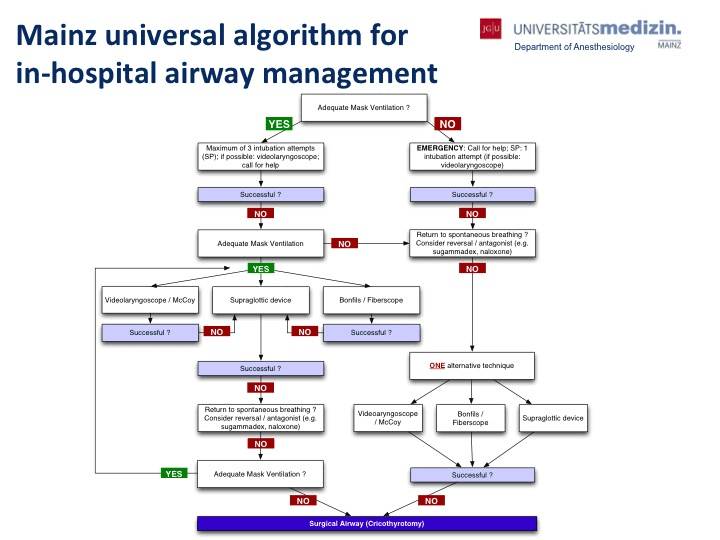 Algoritmo universal de Maguncia para la gestión de la vía aérea intrahospitalaria. Ott T, Truschinski K, Kriege M, et al. [Al